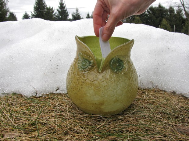 And the winner is ...