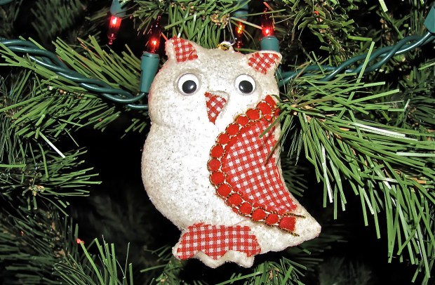 Whoo likes owls now? I do!