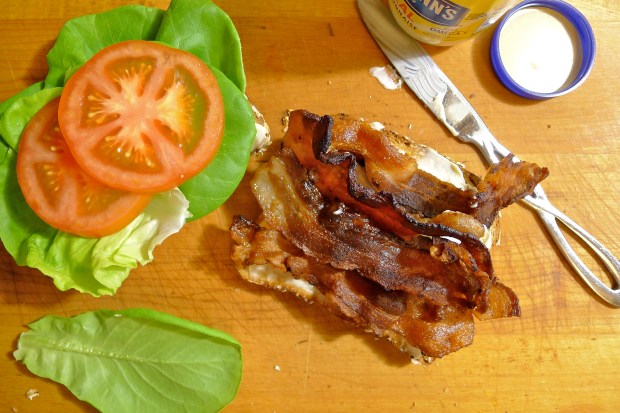 Bacon makes everything better.