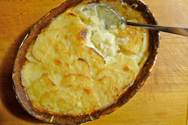 Classic potato gratin